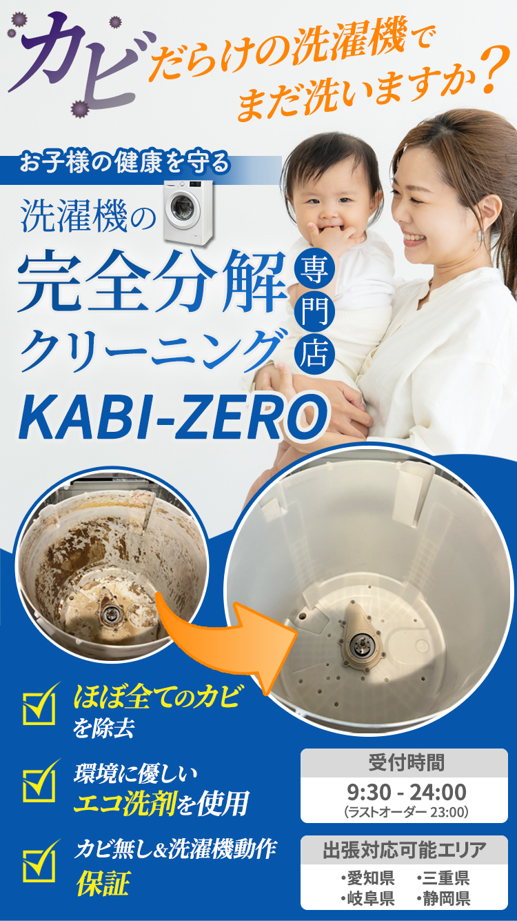 KABI-ZERO 洗濯機完全分解クリーニング -